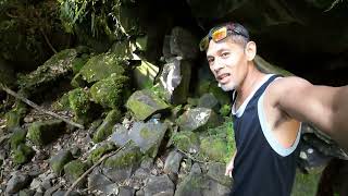 Apple Head Green Viper Natagpuan Habang Dagsa ang Turista sa Taytay Falls Majayjay Laguna.