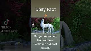 Unicorns is this countrys national animal? #shorts #unicorn #facts