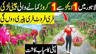 Dragon Fruit Plants Nursery in Pakistan | Dragon Fruit Farming in Pakistan |