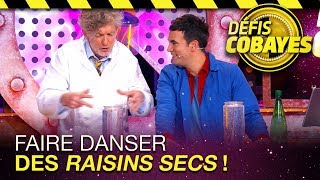 Faire danser des raisins secs ! - Défis Cobayes - France 4