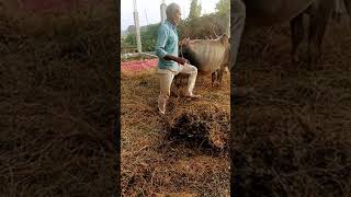 desi farmer