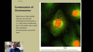 B5-1 The Cell Cycle & Chromosomes