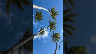 OAHU HAWAII BEACH VIEWS #hawaii #oahu #beaches #hawaiianislands #beachvibes #beachlife