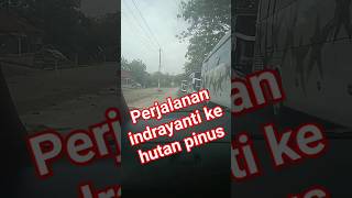 WISATA INDONESIA,INDRAYANTI HUTAN PINUS MANGUNAN DJOGA #shot #shots #jalanjalan