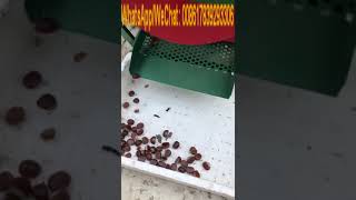 Chestnut Peeling Machine