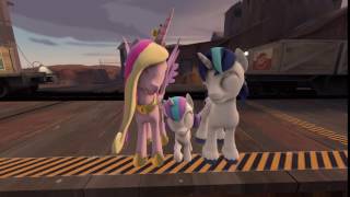 MLP SFM test animation.