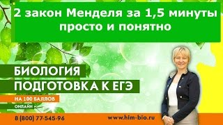 2 закон Менделя просто и понятно.Закон расщепления. ЕГЭ. ОГЭ. ГИА .Биология.