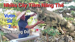 QUÁ BẤT NGỜ khi đến thăm vườn cây số 2 của anh ĐÔNG ĐỎ * sao anh nhiều đồ quý vậy ? *