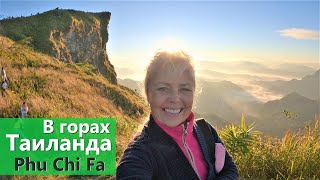 Тайланд. На север за орхидеями 4. Phu Chi Fa. Chiang Rai