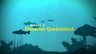 Fisheries Queensland