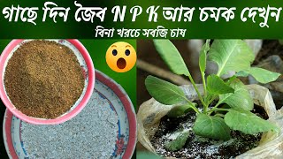 গাছে দিন জৈব N P K আর চমক দেখুন | Idea to grow Organic Garden with out cost | সবজি চাষ পদ্ধতি