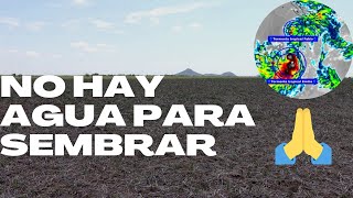 No hay agua para sembrar. Sequía en Sonora