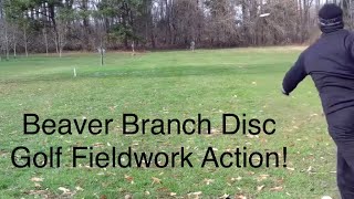 Beaver Branch Disc Golf Fieldwork Action!