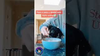 asegúrese de que su mascota tenga la mejor nutrición con nuestro Curso Online🐕🤗🎂🧑‍🍳