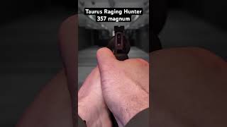 Taurus Raging Hunter 357 magnum, stand de tir, sécurisé #asmr #gun #357 #shooting