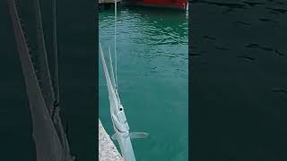 Straik ikan Cendro part 1,,#vidioshort #fishing #viralvideo