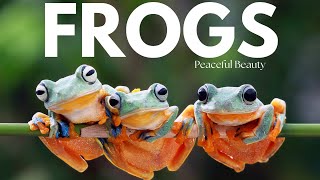 Fascinating Frogs | Secrets of Amphibian Life 🐸