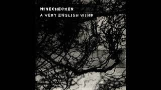 Ninechecker - Antennas ‐ A Very English Wind EP - [BT90] - 2024