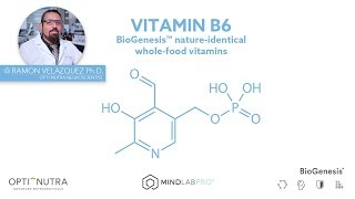 BioGenesis™ Vitamin B6 with Dr. Ramon Velazquez, Ph.D. | Mind Lab Pro®