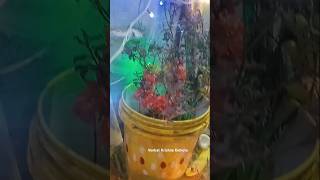 Tulsi Pooja #deepavali #deepawali #diwali #durgamata #tulsi #mata #viral #trending #shorts #short