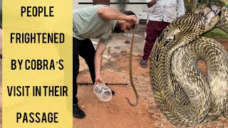 People Frightened Witnessing Cobra In Their Passage #cobra #rescue #viral #trending #wildlife #india