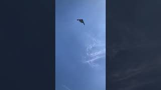 B2 Flyover at 2018 Indy 500