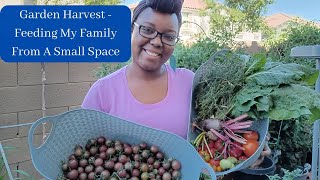 Garden Harvest - Feeding My Family From A Small Space