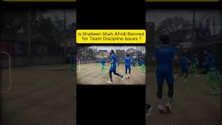 #"Cricket Discipline Alert! #DisciplineInSports, #ShaheenAfridi, #CricketBoard"#cricketshorts #pcb