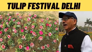 Tulip Festival Delhi 2023||NDMC का शानदार प्रयास||Delhi Tourist Places ||@OSPokhriyal