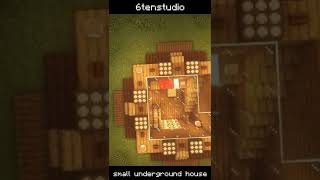 #shorts 27 small underground house