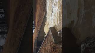 Massive flooding residential dam outflow after tons of rain 1 - #shorts