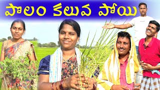 పొలం కలువ పోయి || Polam kaluva poyi || Village Comedy SKIT #VILLAGE MKTV# MKTV SKIT#381