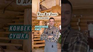 Конвективная сушка древесины. Что это? ХВЗ #наука #дерево #пиломатериалы#строительство