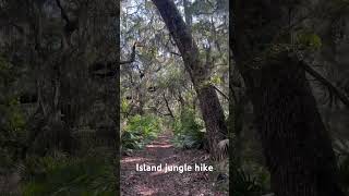 Hiking Nightingale trail on Cumberland Island of Georgias Coast. Island jungle #naturelovers #island