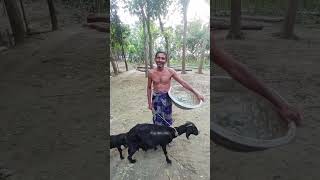 #shortvideo  কাকু এটা পাটি আছে এটা পাটি আছে #reels #viralvideo