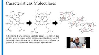 Cloroquina e Hidroxicloroquina - Uma visão geral - parte I