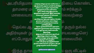 பணத்தை ஈர்க்கும் தாமரை மணிமாலை #aanmeegam #ஆன்மீகம் #shorts