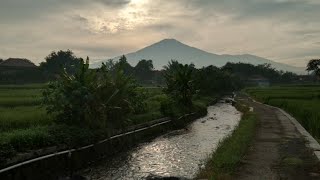 Mengenalkan Anak pada Alam || Jalan pagi di pegunungan