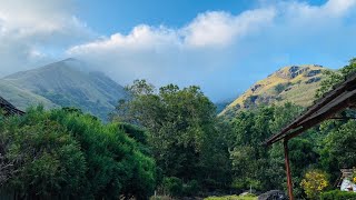 Chembra Peak Estate, detailed video soon…