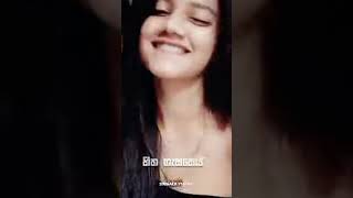 Gini siluwa wage paddana whatsapp status ❤️😍   raginiye  etunes music factory