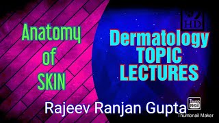 Anatomy Of Skin , DERMATOLOGY LECTURES