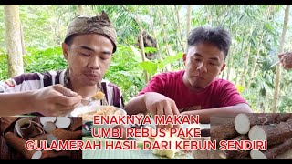 ENAKBANGET HIDUP DI DESA MAKAN REBUS/KOLEK SINGKONG DIPONDOK PETUALANGAN ALAM DESAKU