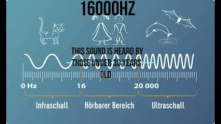 16000 Hz   this sound is heard by those under 30 years old