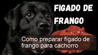 Como preparar fígado de frango para cachorro - RECEITAS