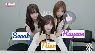 [ENG SUB] tripleS Weibo SIGNAL LIVE 240620 (Nien, Hayeon, Seoah) 트리플에스 Choosing Chinese Names