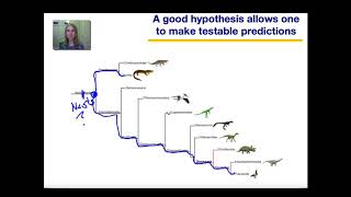 Phylogeny Part 3