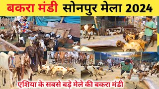 सोनपुर मेला बकरी बाजार 2024 New Video |Sonpur Mela 2024 |Sonpur Mela Bakri Bazar |Bakri Bazar