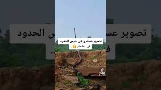 ثعبان ضغم في حدود السعوديه