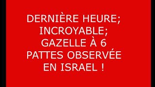 OH MON DIEU; LA PROPHÉCIE VA SE RÉALISER; LE 3ÈME TEMPLE;LE SACRÉFICE DE LA GÉNISSE ROUSSE ECT.