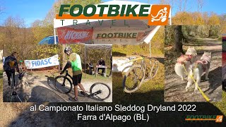 Footbike Travel con i Kickbike Cross al Campionato Italiano Sleddog Dryland Farra D'Alpago 2022